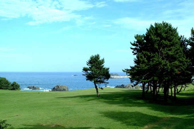 種差海岸のAC画像